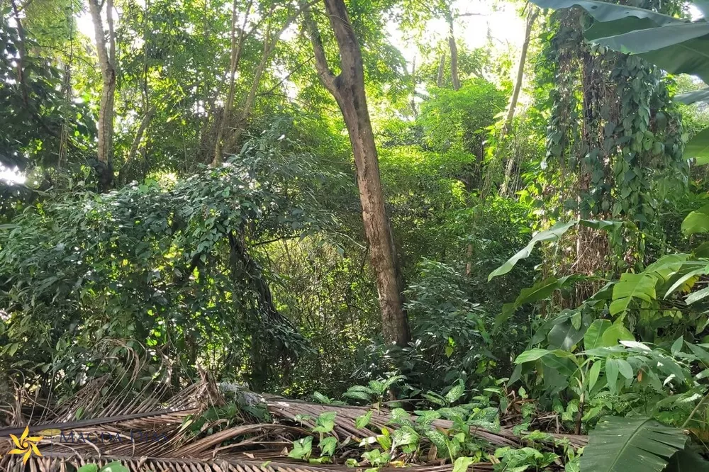 Terreno, 1110 m² - Foto 7