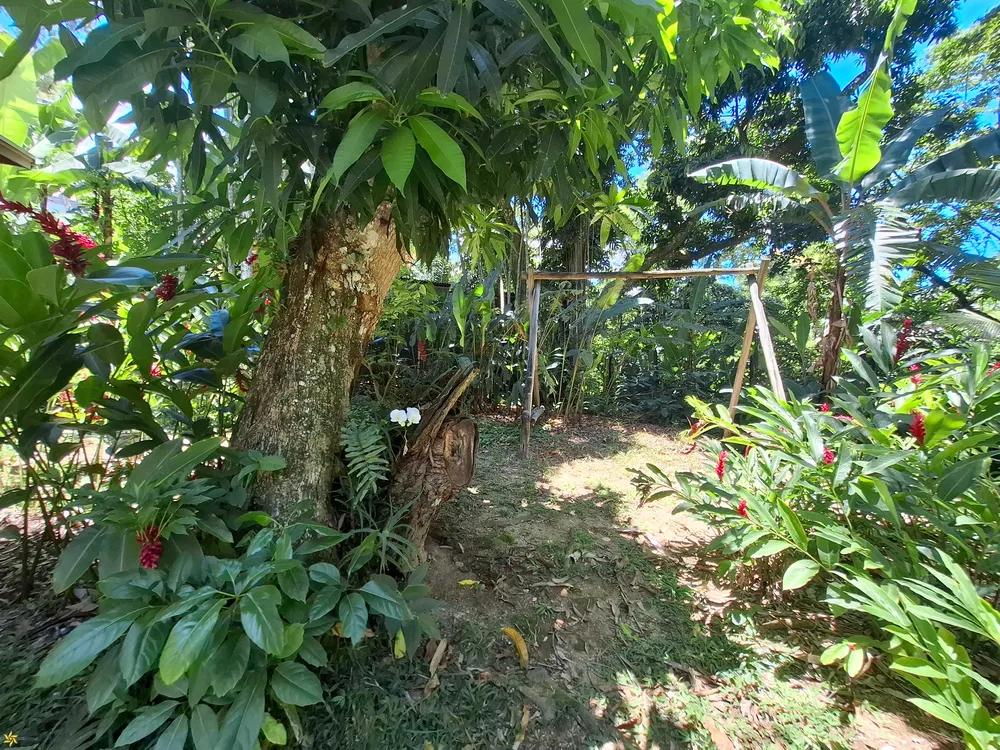 Casa, 4 quartos - Foto 12