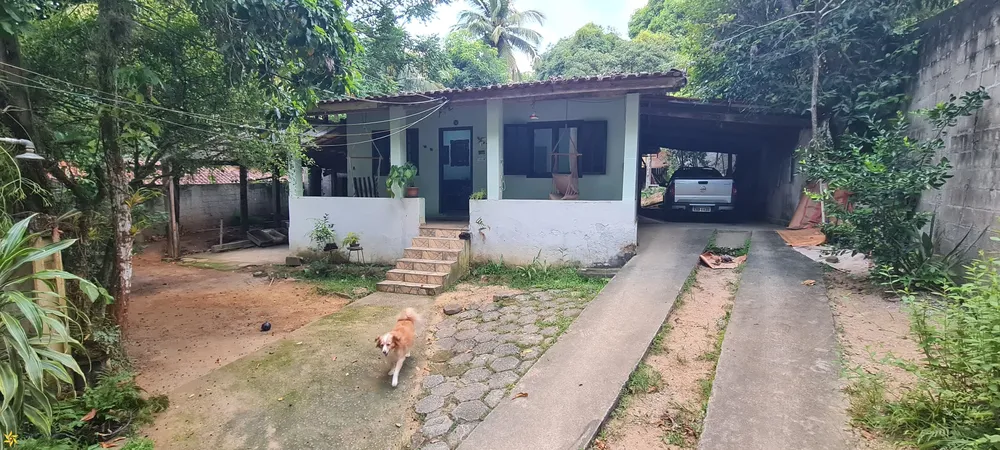 Casa, 4 quartos - Foto 2