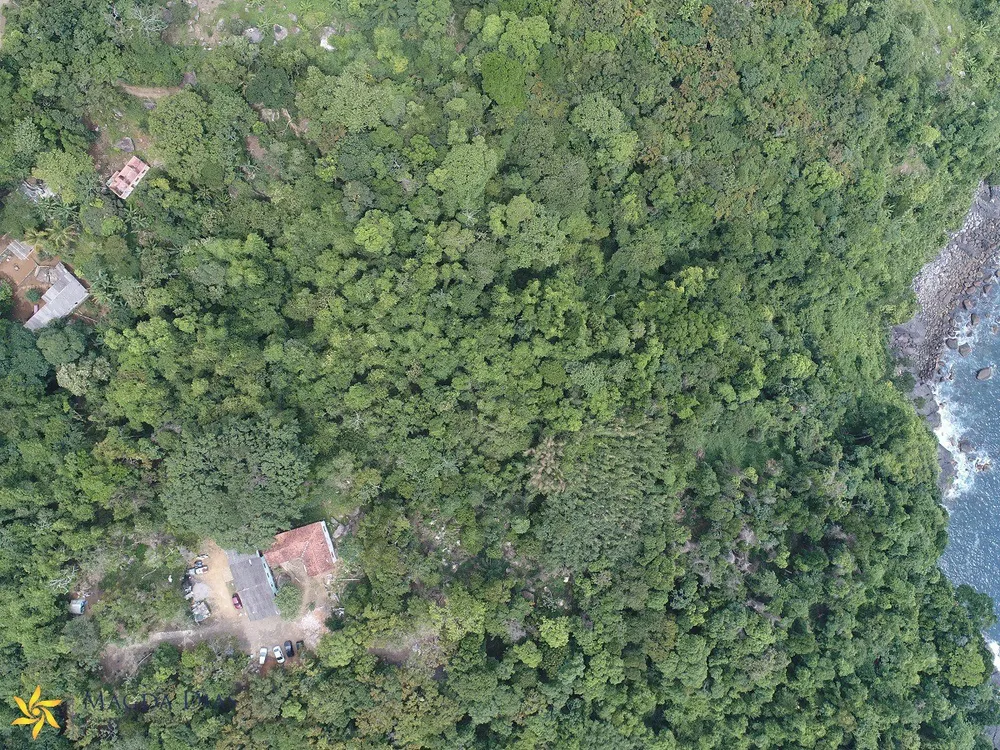 Terreno, 5 hectares - Foto 10