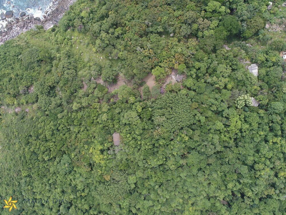 Terreno, 5 hectares - Foto 3