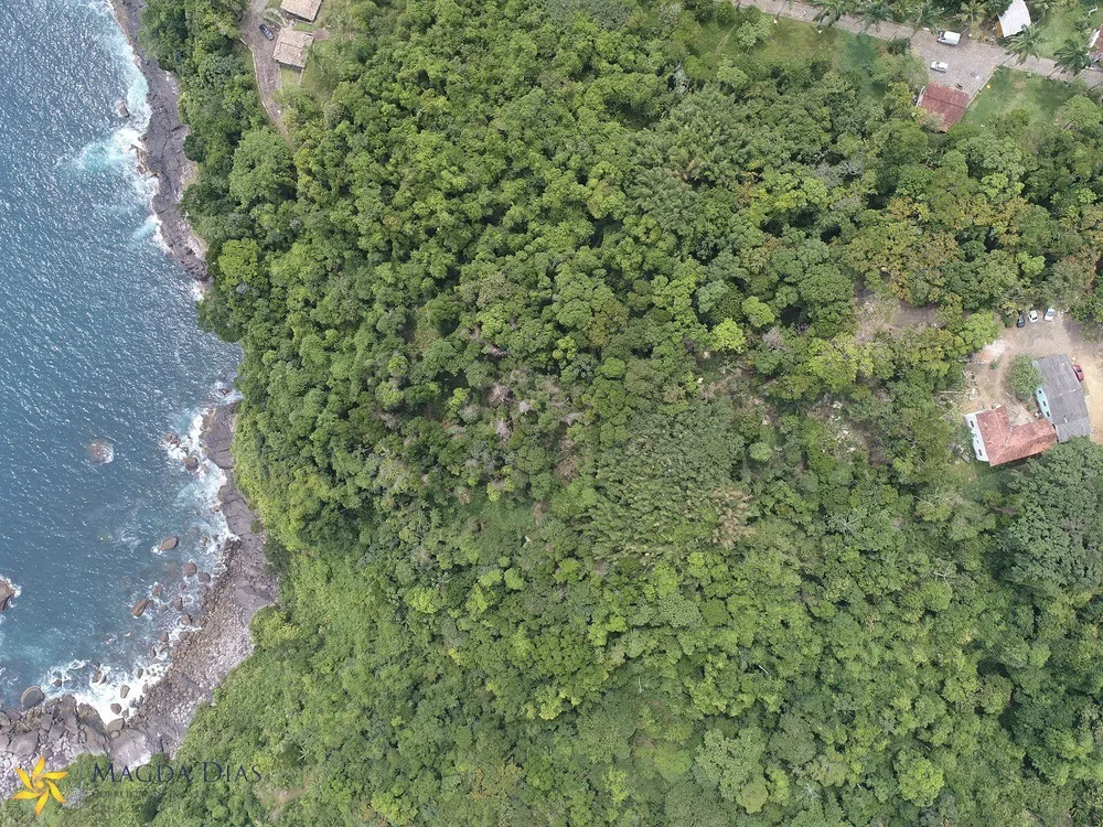 Terreno, 5 hectares - Foto 7