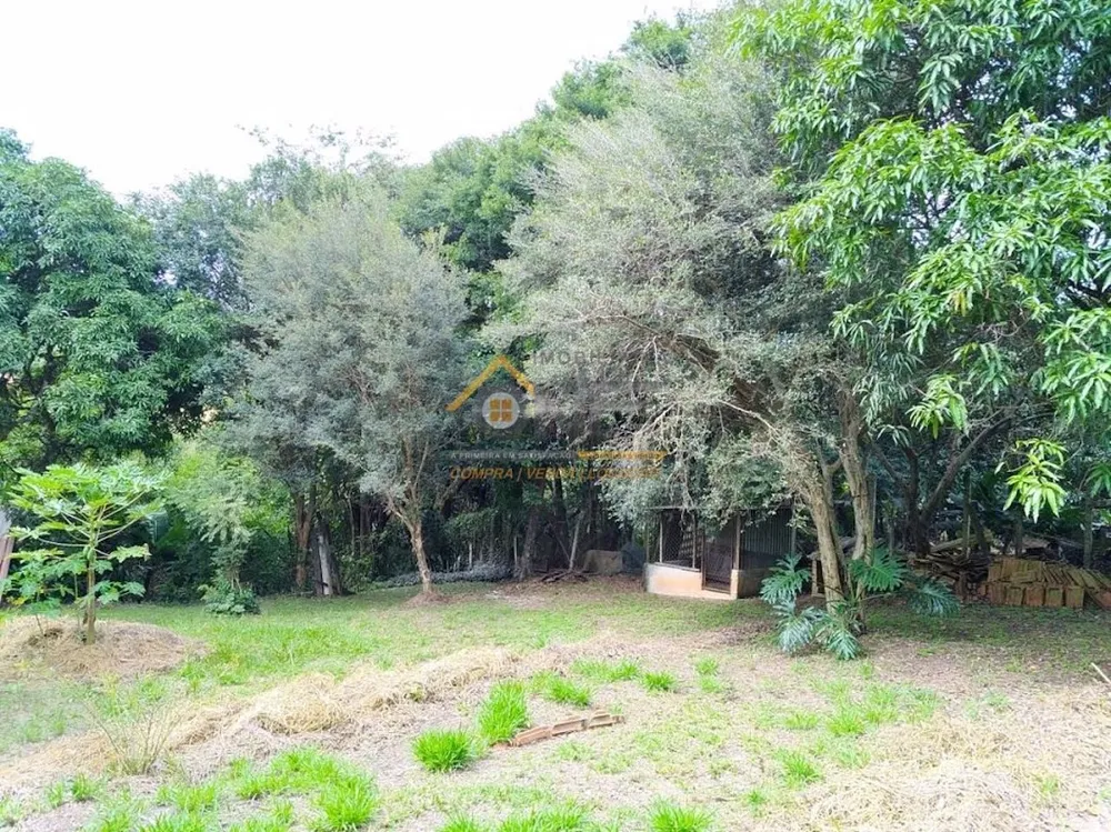 Sítio, 5 quartos, 6103 m² - Foto 7