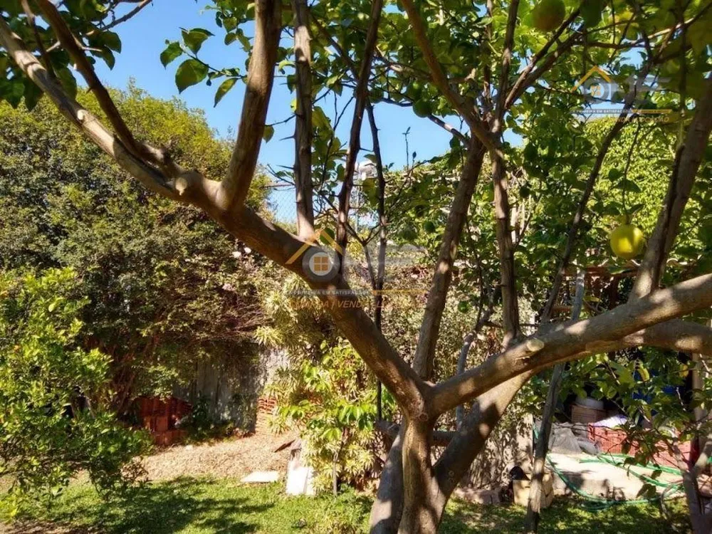 Chácara, 3 quartos, 1000 m² - Foto 8