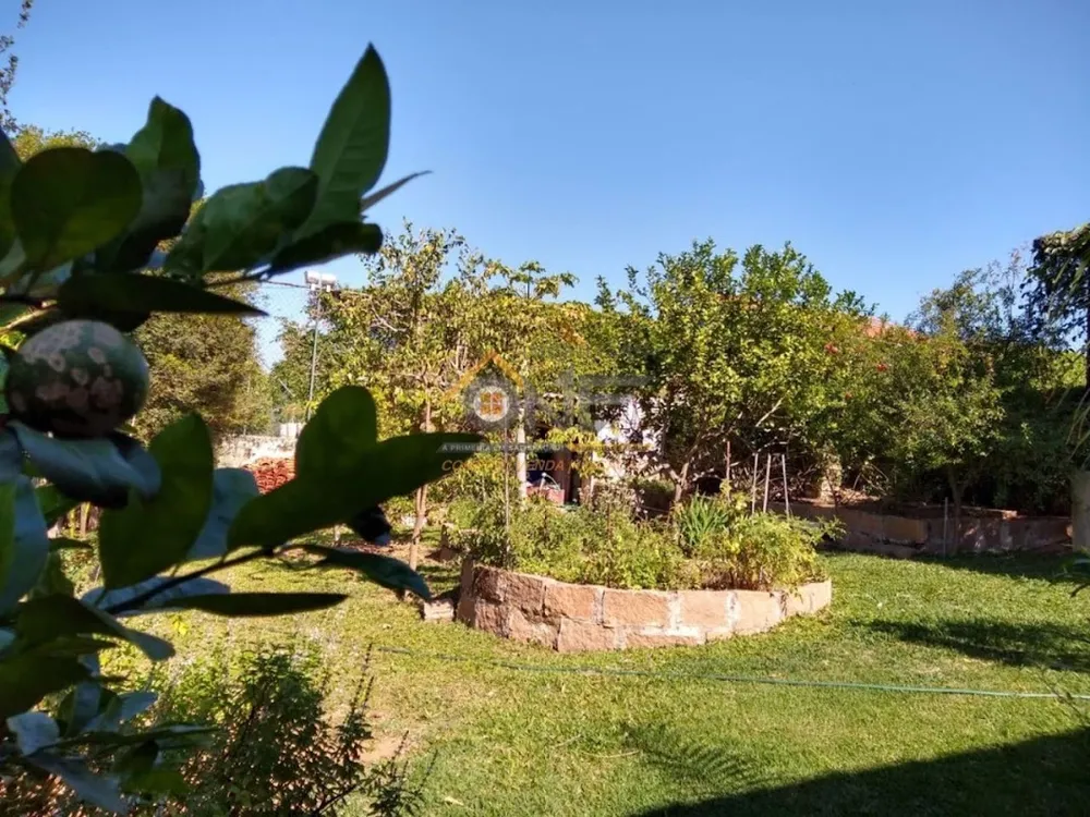 Chácara, 3 quartos, 1000 m² - Foto 1