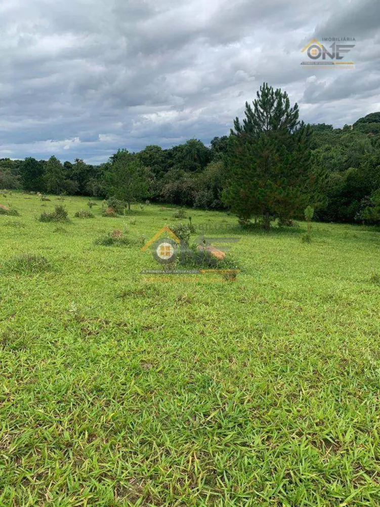Terreno, 17 hectares - Foto 8