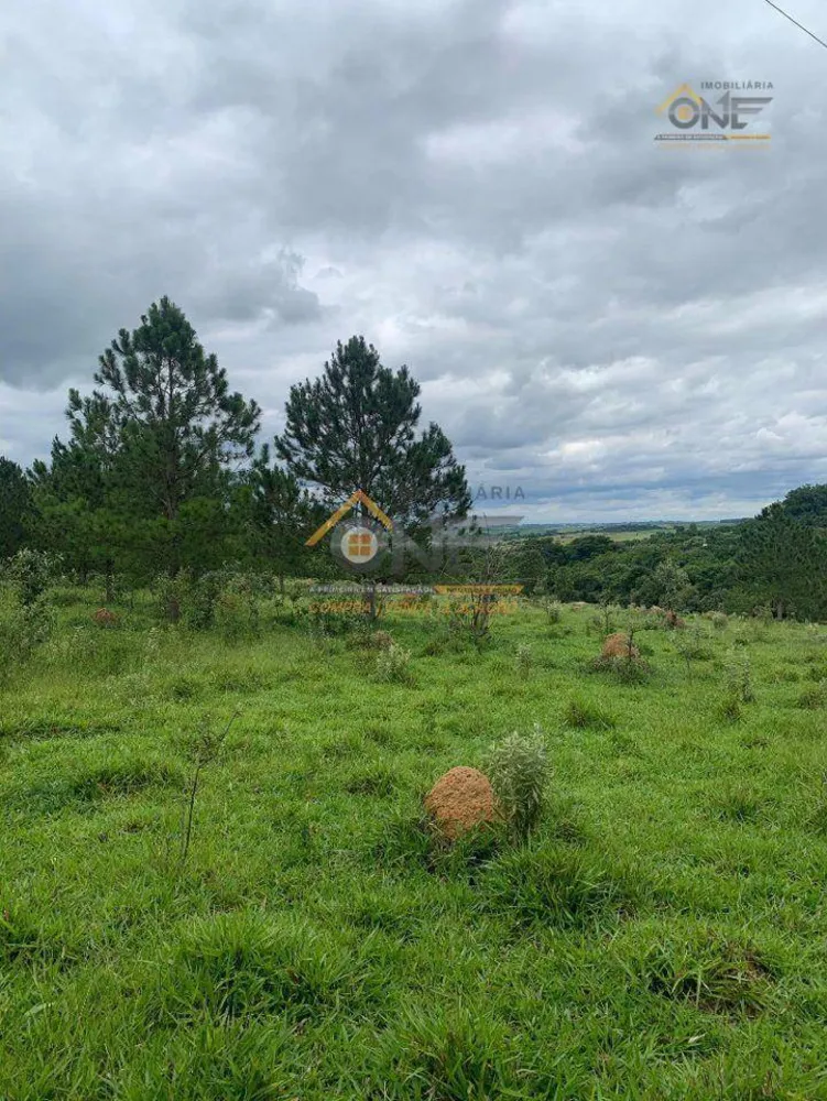 Terreno, 17 hectares - Foto 14