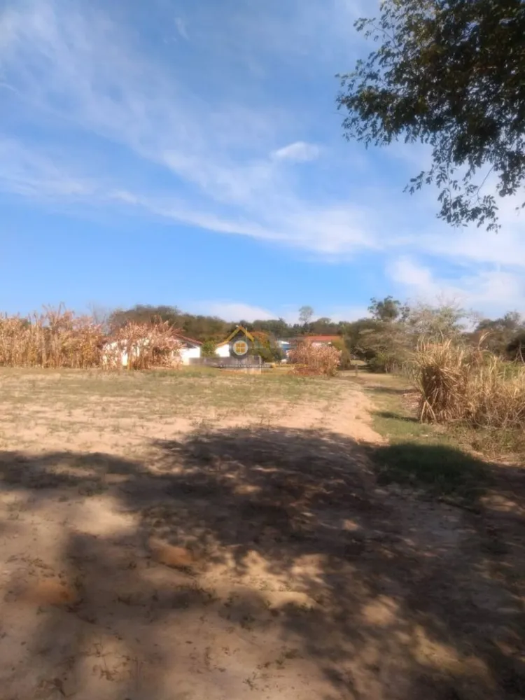 Sítio, 3 quartos, 36800 m² - Foto 6