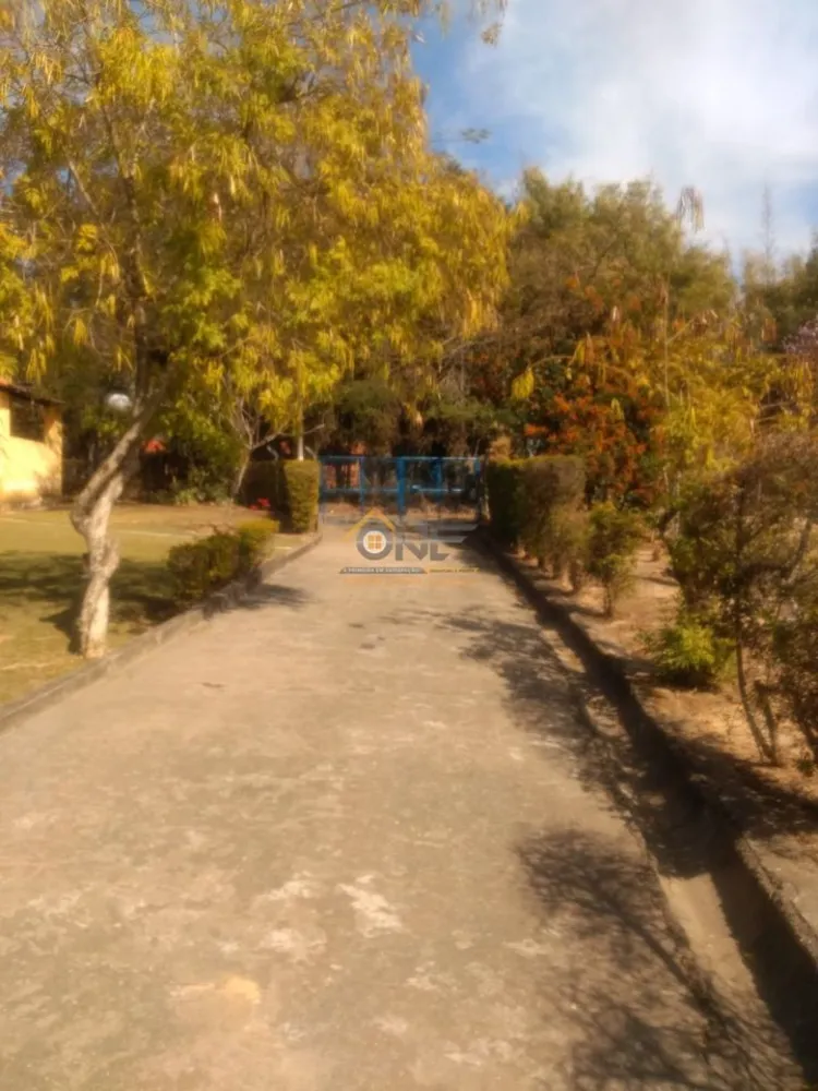 Sítio, 3 quartos, 36800 m² - Foto 8