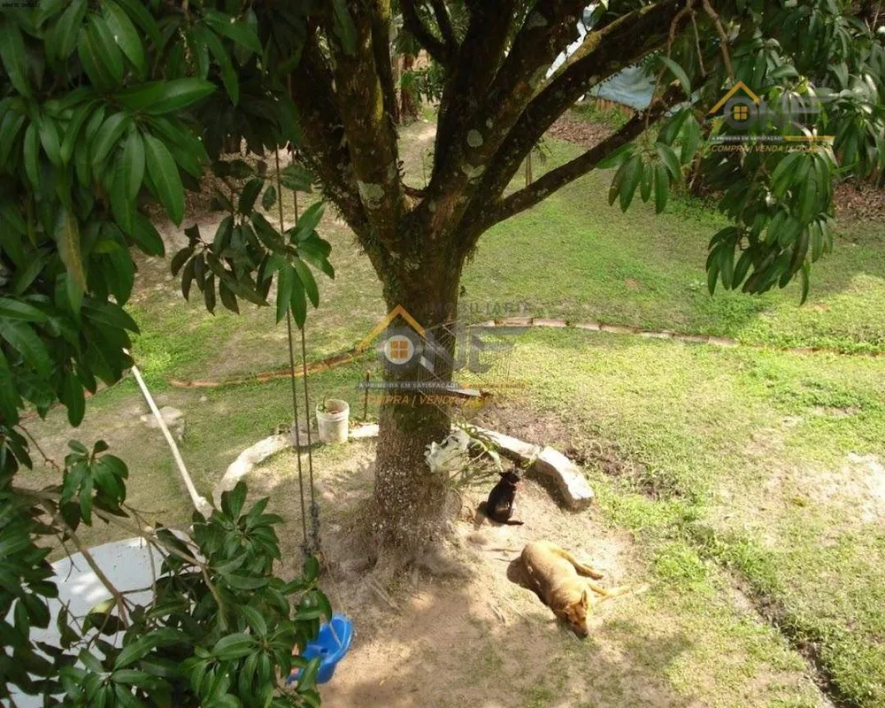 Chácara, 3 quartos - Foto 5