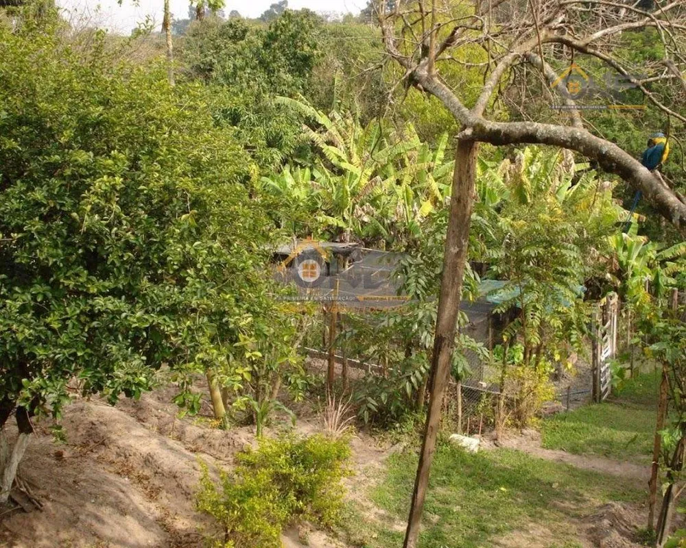 Chácara, 3 quartos - Foto 6