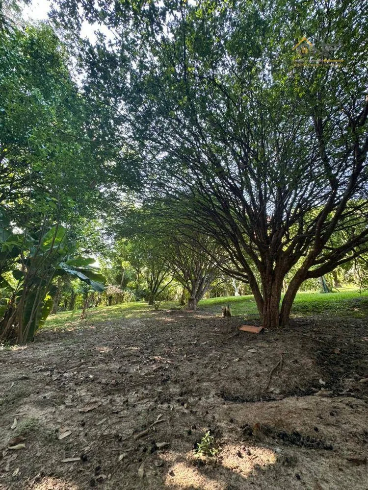 Chácara, 4 quartos, 5000 m² - Foto 10