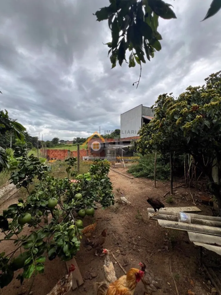 Chácara, 2 quartos, 1250 m² - Foto 3