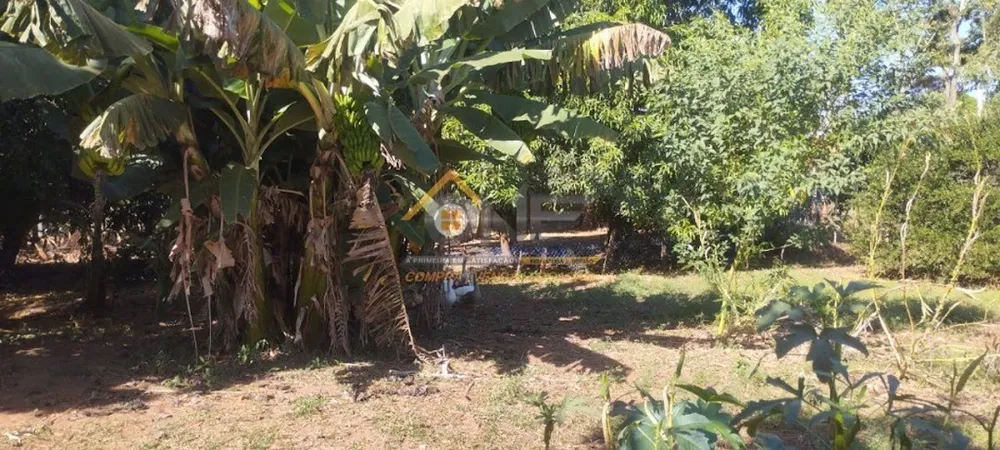 Terreno, 1130 m² - Foto 4