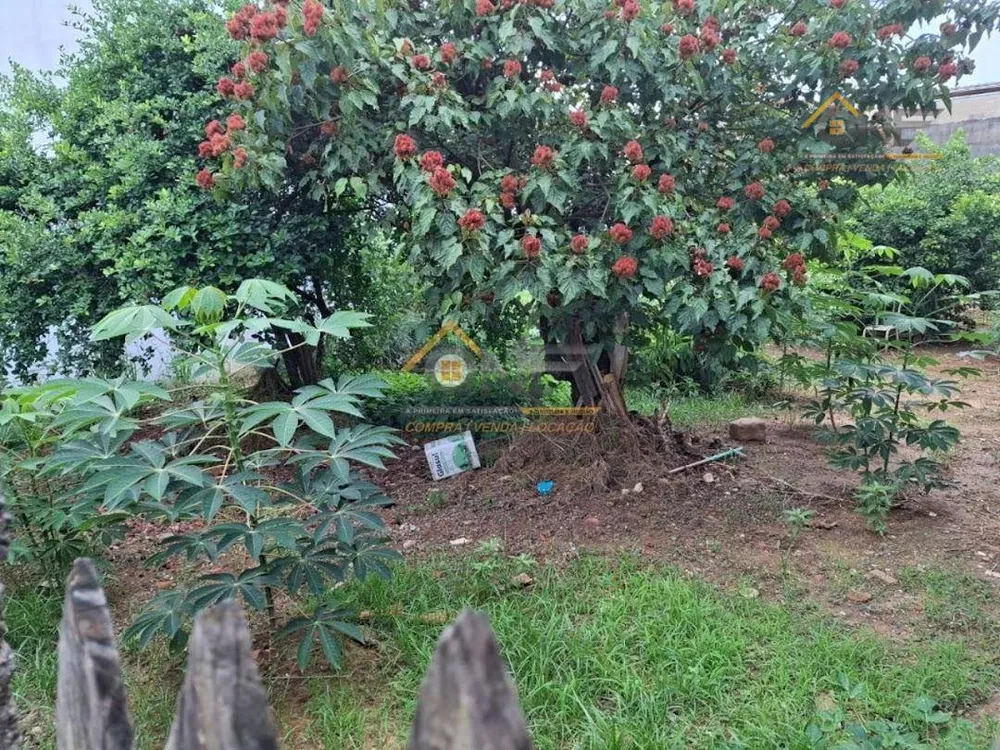 Terreno, 250 m² - Foto 8