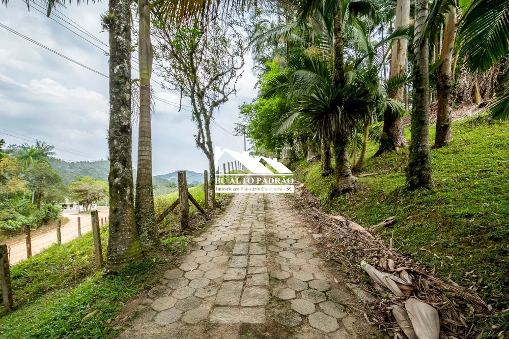 Sítio, 2 quartos, 31990 hectares - Foto 4