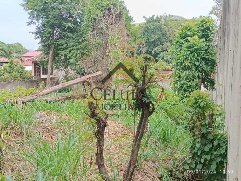 Terreno, 605 m² - Foto 7