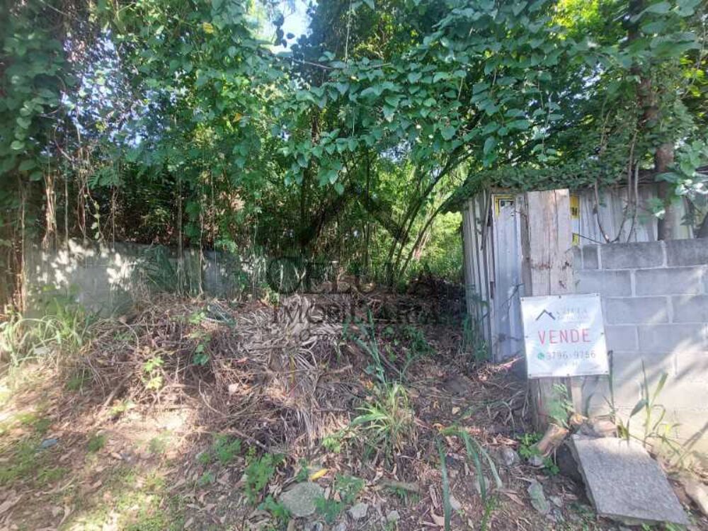 Terreno, 444 m² - Foto 3