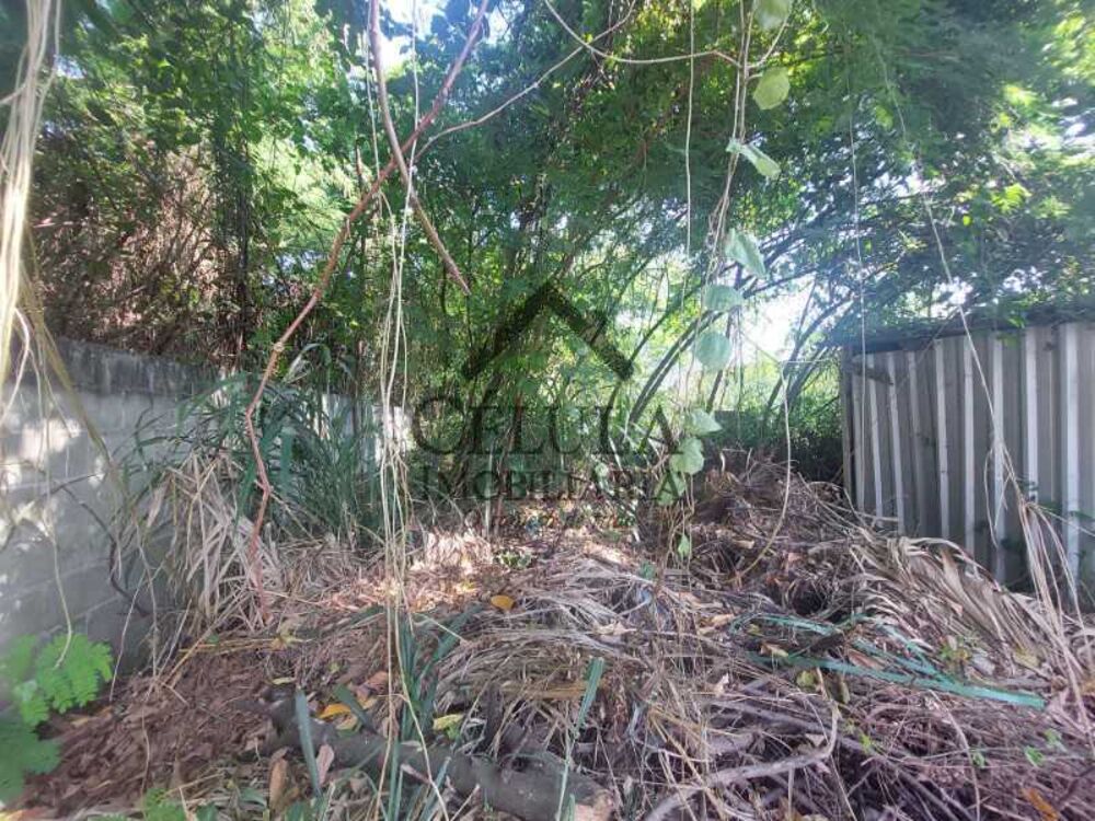 Terreno, 444 m² - Foto 4