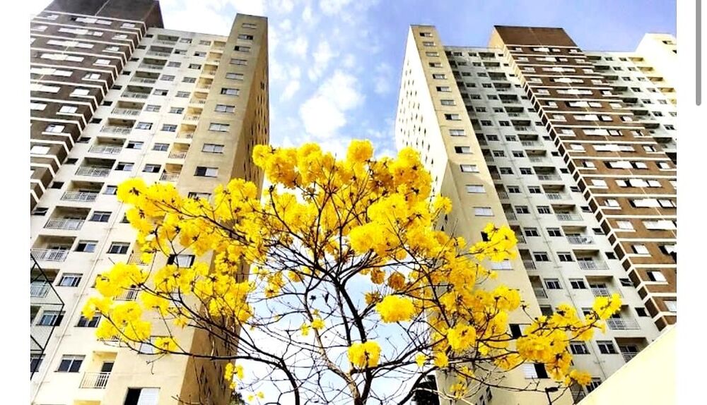 Apartamento, 2 quartos, 53 m² - Foto 19