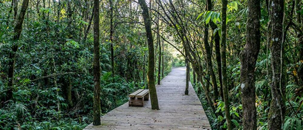 Terreno à venda - Foto 1