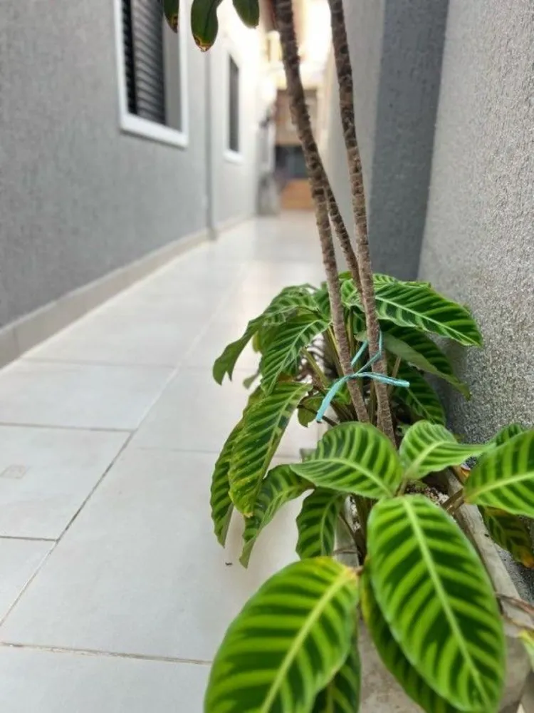 Casa, 3 quartos, 116 m² - Foto 8