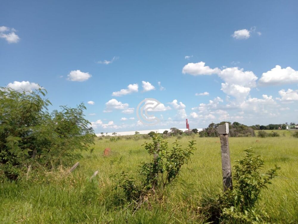 Terreno à venda, 55000m² - Foto 10