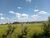 Terreno, 6 hectares - Foto 11