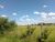 Terreno, 6 hectares - Foto 10