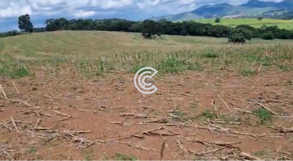 Fazenda à venda com 1 quarto - Foto 6