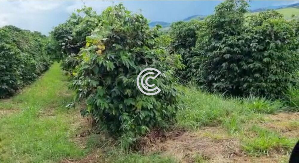 Fazenda à venda com 1 quarto - Foto 5