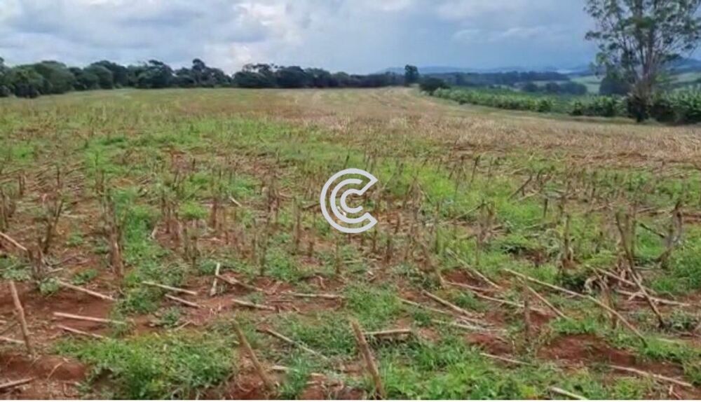 Fazenda à venda com 1 quarto - Foto 8