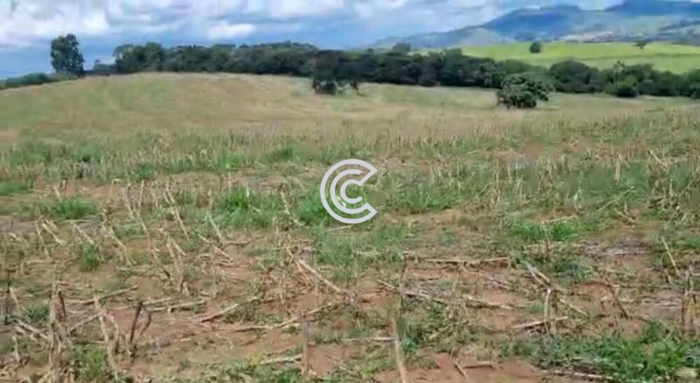Fazenda à venda com 1 quarto - Foto 7