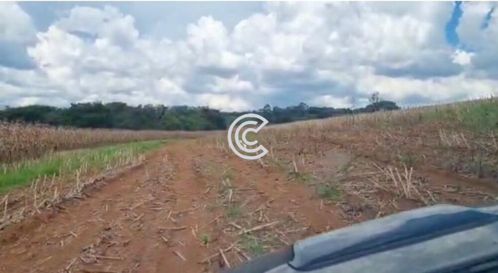 Fazenda à venda com 1 quarto - Foto 2