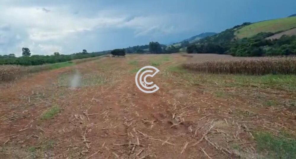 Fazenda à venda com 1 quarto - Foto 3