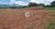 Fazenda, 1 quarto - Foto 4