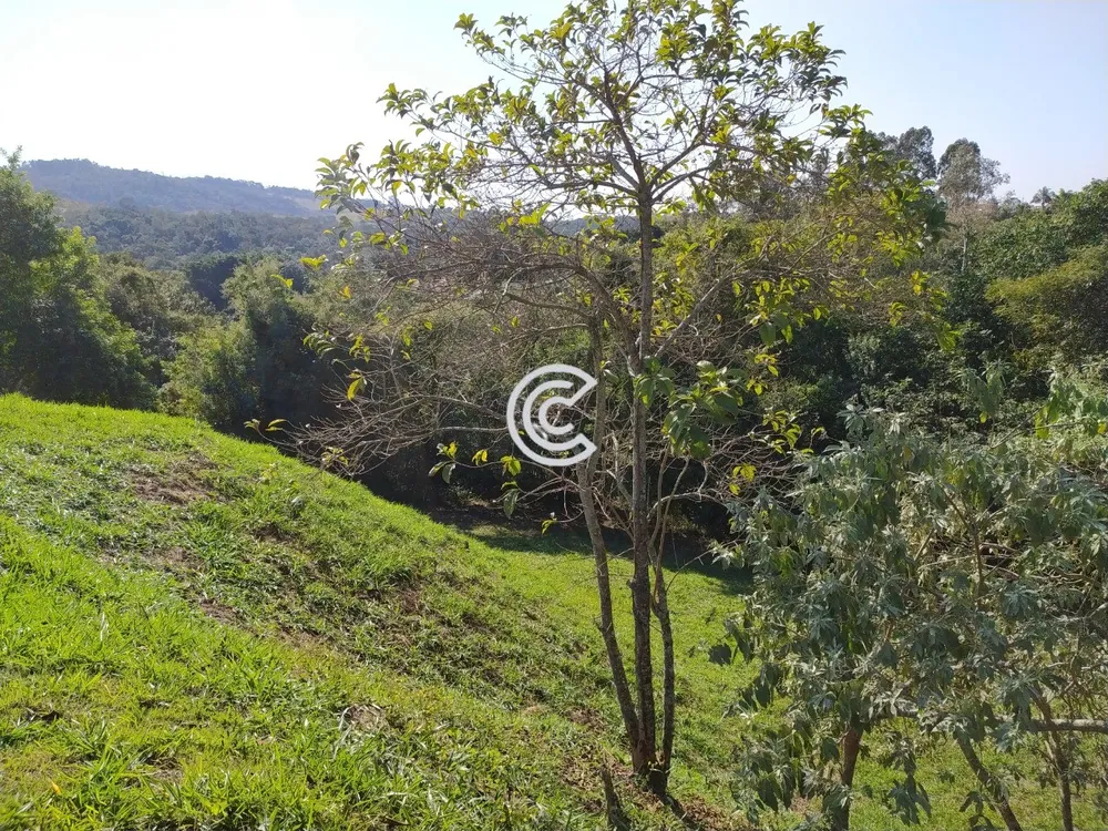 Terreno, 1650 m² - Foto 1