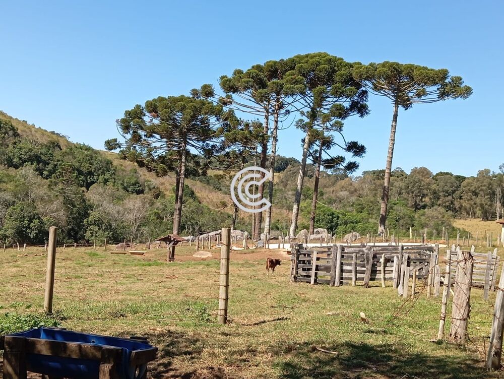 Sítio, 2 quartos - Foto 1