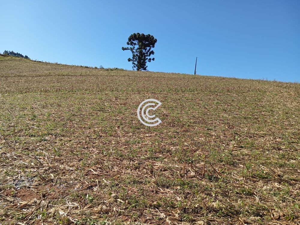 Sítio, 2 quartos - Foto 3