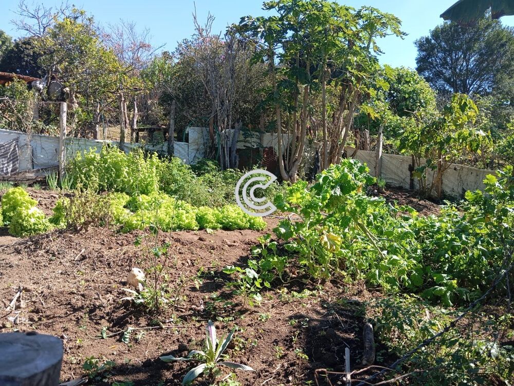 Sítio, 2 quartos - Foto 2