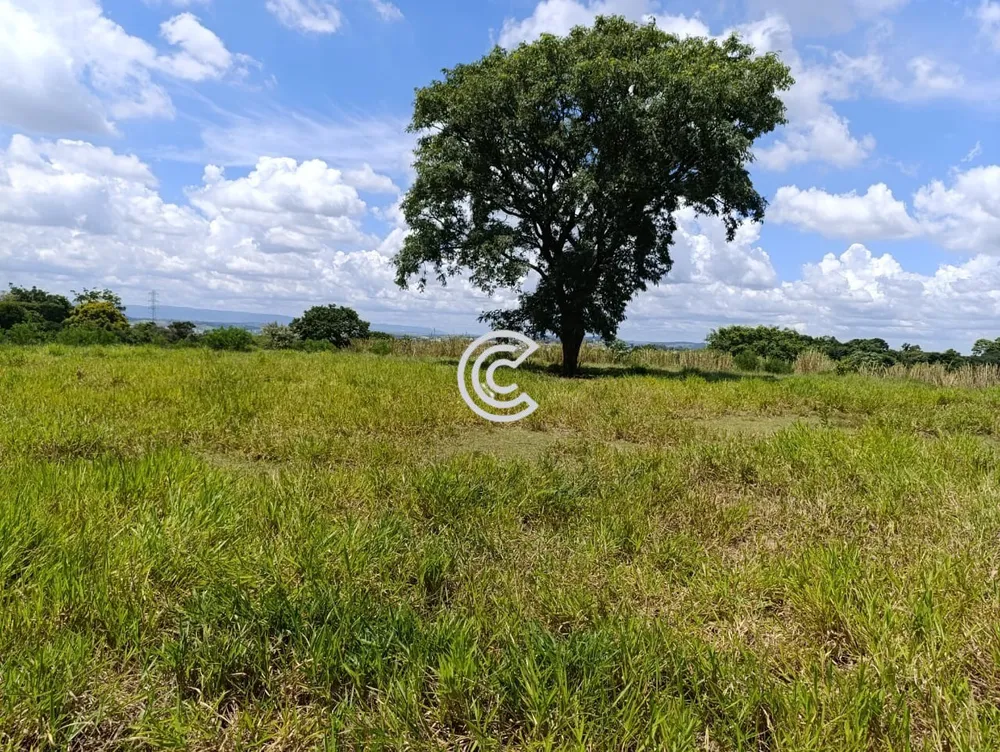 Loteamento e Condomínio, 2 hectares - Foto 6