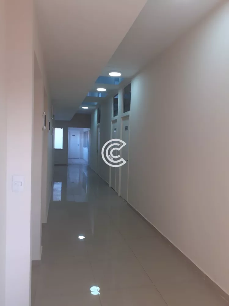 Conjunto Comercial-Sala para alugar, 40m² - Foto 4