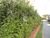 Apartamento, 2 quartos, 53 m² - Foto 24