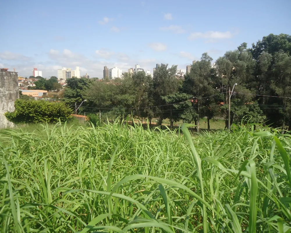Loteamento e Condomínio, 1000 m² - Foto 6