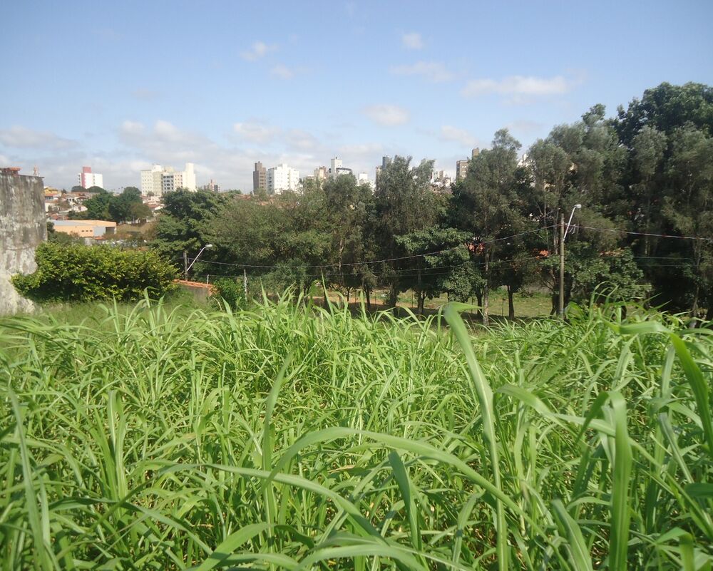 Loteamento e Condomínio, 1000 m² - Foto 6