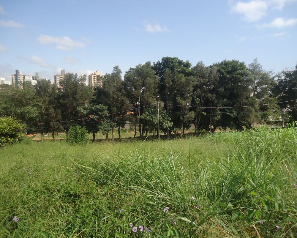 Loteamento e Condomínio, 1000 m² - Foto 3