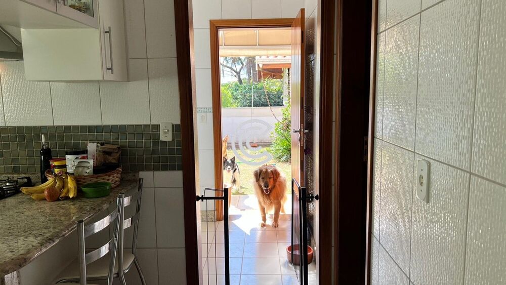 Casa, 3 quartos - Foto 19