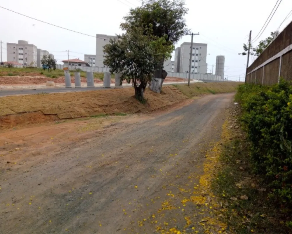 Chácara, 4 quartos, 5250 m² - Foto 2