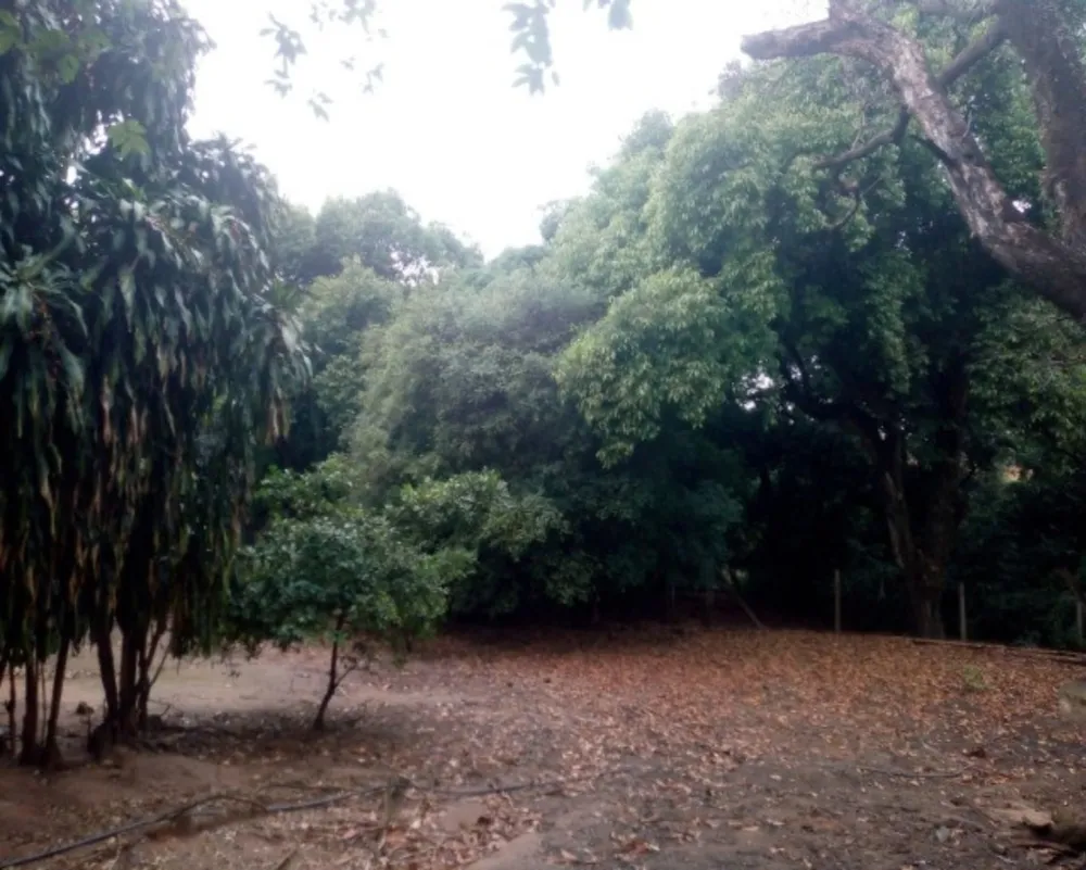 Chácara, 4 quartos, 5250 m² - Foto 15
