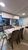 Apartamento, 3 quartos, 52 m² - Foto 3
